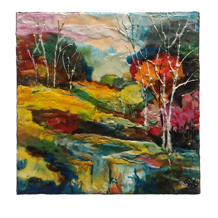 nature     (40 x 40 cm)    210e